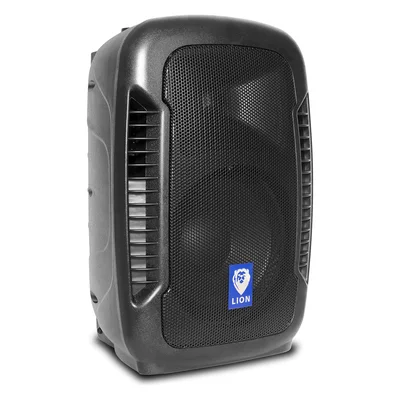 Bocina amplificada Bluetooth Technical Pro LION10 de 10 pulgadas